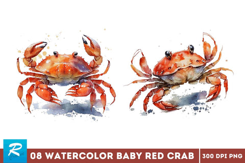 Watercolor Cute Baby Red Crab Bundle Sublimation Regulrcrative 