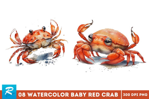 Watercolor Cute Baby Red Crab Bundle Sublimation Regulrcrative 