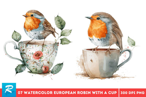 Watercolor Cute European Robin with a Cup Bundle Sublimation Regulrcrative 