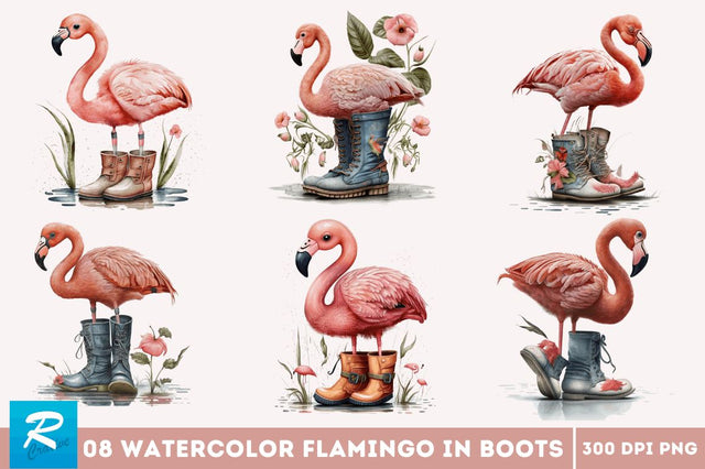 Watercolor Cute Flamingo in Boots Bundle Sublimation Regulrcrative 