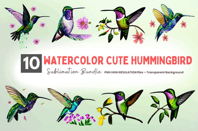 Watercolor Cute Hummingbird Clipart Bundle Sublimation Regulrcrative 