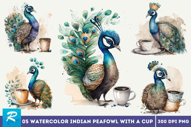 Watercolor Cute Indian Peafowl with a Cup Clipart Bundle Sublimation Regulrcrative 