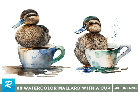 Watercolor Cute Mallard with a Cup Bundle Sublimation Regulrcrative 