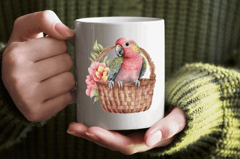 Watercolor Cute Pink Parrot in Basket Clipart Bundle Sublimation Regulrcrative 