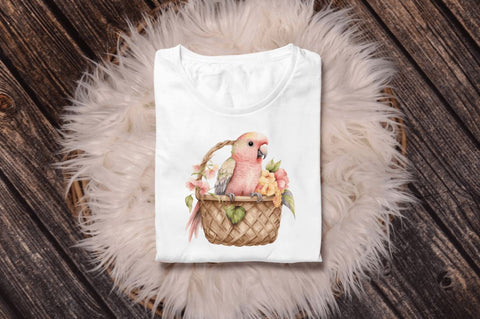 Watercolor Cute Pink Parrot in Basket Clipart Bundle Sublimation Regulrcrative 