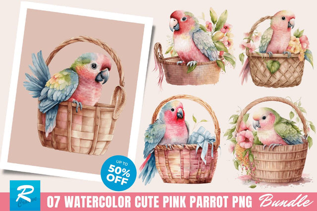 Watercolor Cute Pink Parrot in Basket Clipart Bundle Sublimation Regulrcrative 