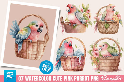 Watercolor Cute Pink Parrot in Basket Clipart Bundle Sublimation Regulrcrative 