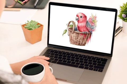 Watercolor Cute Pink Parrot in Basket Clipart Bundle Sublimation Regulrcrative 