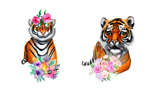 Watercolor Cute Tiger Clipart Bundle Sublimation Regulrcrative 