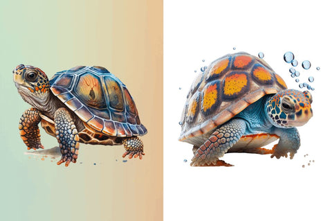 Watercolor Cute Turtle Sublimation Clipart Bundle Sublimation Regulrcrative 