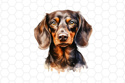 Watercolor Dachshund Clipart PNG Sublimation DreanArtDesign 