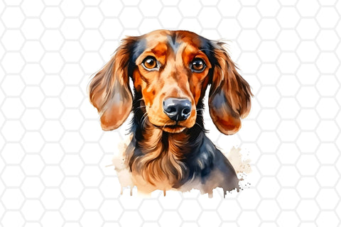 Watercolor Dachshund Clipart PNG Sublimation DreanArtDesign 