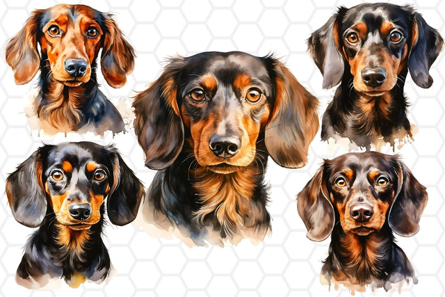 Watercolor Dachshund Clipart PNG Sublimation DreanArtDesign 