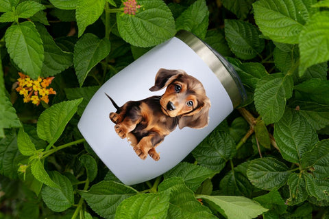 Watercolor Dachshund Puppies Clipart Sublimation Regulrcrative 