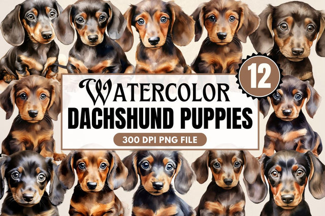 Watercolor Dachshund Puppies Clipart Sublimation Regulrcrative 