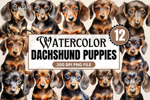 Watercolor Dachshund Puppies Clipart Sublimation Regulrcrative 