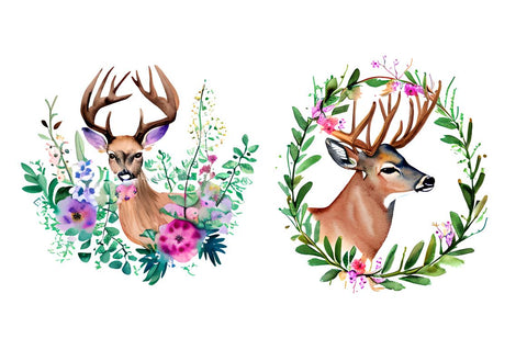 Watercolor Deer Boho Floral Sublimation Bundle Sublimation Regulrcrative 