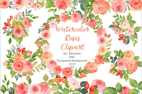 Watercolor Floral Clipart, Roses And Leaves PNG Bundle Sketch DESIGN Yuliya 