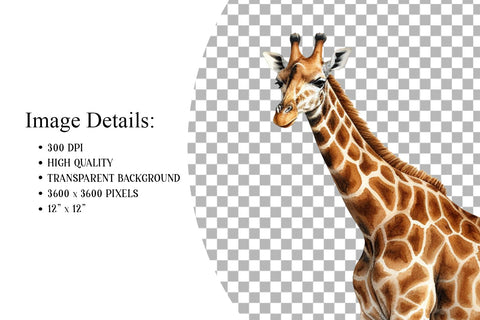 Watercolor Giraffe Transparent Clipart PNG Sublimation BijouBay 