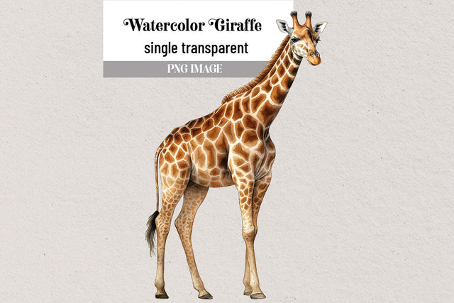 Watercolor Giraffe Transparent Clipart PNG Sublimation BijouBay 