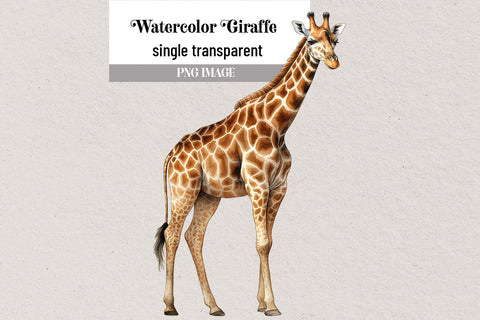 Watercolor Giraffe Transparent Clipart PNG Sublimation BijouBay 