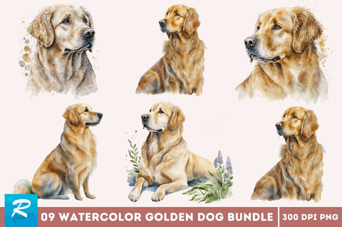 Watercolor Golden Dog Clipart Sublimation Regulrcrative 
