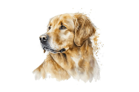 Watercolor Golden Dog Clipart Sublimation Regulrcrative 