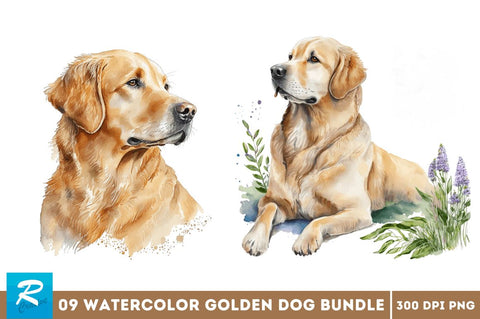 Watercolor Golden Dog Clipart Sublimation Regulrcrative 