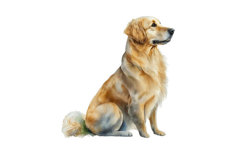 Watercolor Golden Dog Clipart Sublimation Regulrcrative 