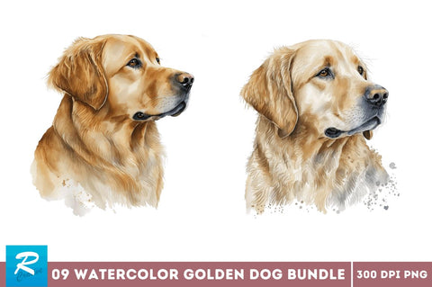 Watercolor Golden Dog Clipart Sublimation Regulrcrative 