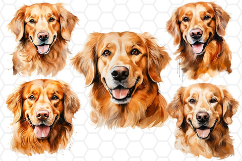 Watercolor Golden Retriever Clipart PNG Sublimation DreanArtDesign 