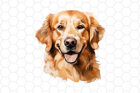 Watercolor Golden Retriever Clipart PNG Sublimation DreanArtDesign 