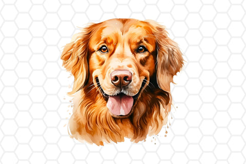 Watercolor Golden Retriever Clipart PNG Sublimation DreanArtDesign 