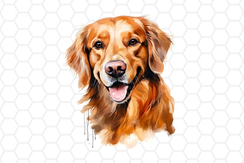 Watercolor Golden Retriever Clipart PNG Sublimation DreanArtDesign 