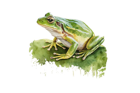 Watercolor Green Frog Clipart Bundle Sublimation Regulrcrative 
