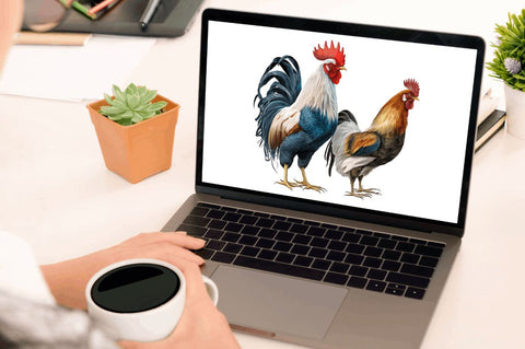 Watercolor Hens and Roosters Clipart Bundle Sublimation Regulrcrative 