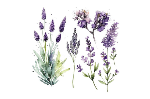 Watercolor Lavender Garden Clipart Bundle Sublimation Regulrcrative 