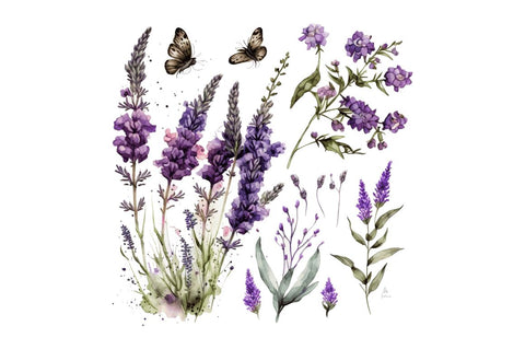 Watercolor Lavender Garden Clipart Bundle Sublimation Regulrcrative 