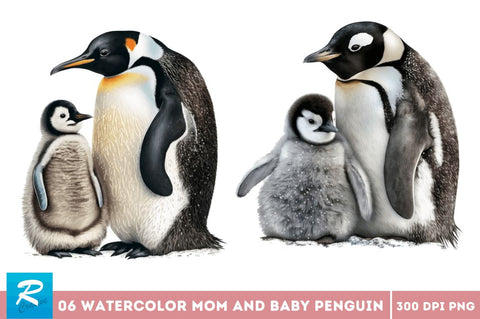 Watercolor Mom and Baby Penguin Clipart Bundle Sublimation Regulrcrative 