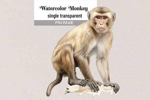 Watercolor Monkey Transparent Clipart PNG Sublimation BijouBay 