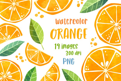 Watercolor orange fruit clipart PNG Citrus clip art Summer bundle Sublimation GreenWolf 
