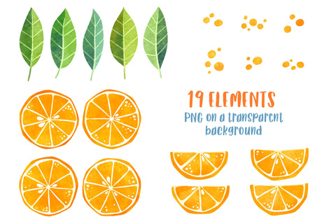 Watercolor orange fruit clipart PNG Citrus clip art Summer bundle - So  Fontsy