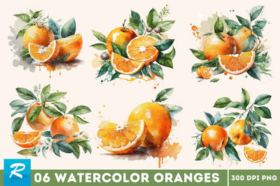 Watercolor Oranges Clipart Bundle Sublimation Regulrcrative 