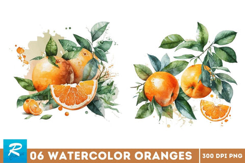 Watercolor Oranges Clipart Bundle Sublimation Regulrcrative 