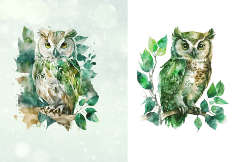 Watercolor Owl Sublimation Clipart Bundle Sublimation Regulrcrative 