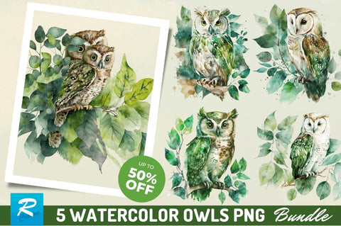 Watercolor Owl Sublimation Clipart Bundle Sublimation Regulrcrative 