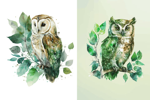 Watercolor Owl Sublimation Clipart Bundle Sublimation Regulrcrative 