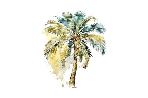 Watercolor Palm Tree Clipart Bundle Sublimation Regulrcrative 