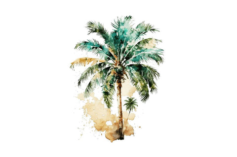 Watercolor Palm Tree Clipart Bundle Sublimation Regulrcrative 