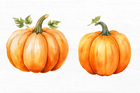 Watercolor pastel pumpkin Clipart Sublimation Regulrcrative 